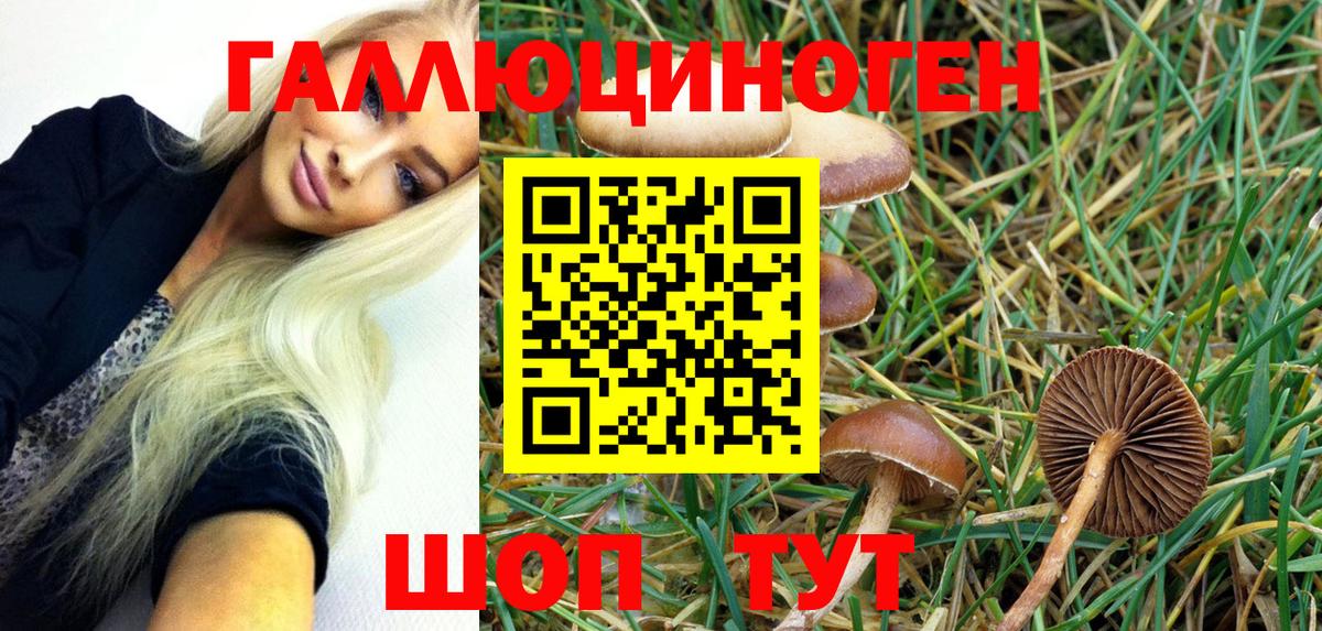 Псилоцибиновые грибы Magic Shrooms  Вход с VPN  Берёзовский  Галлюциногенные грибы Psilocybine cubensis 